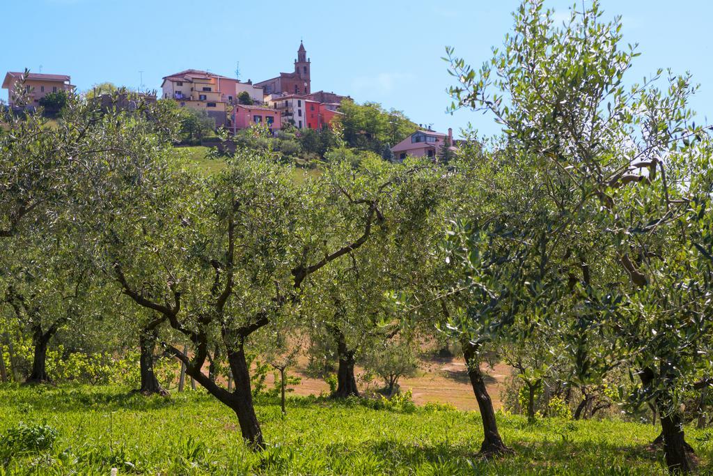 Old Hill Villa Collevecchio  Bilik gambar